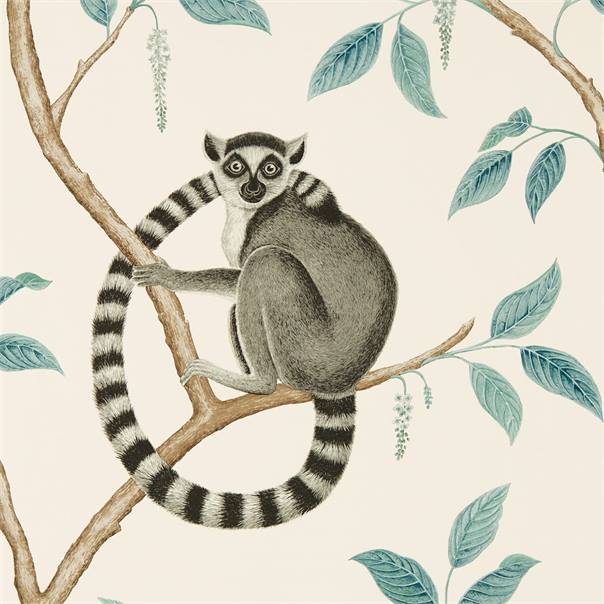 Обои Sanderson The Glasshouse Ringtailed Lemur 216665 Обои Sanderson The Glasshouse Ringtailed Lemur 216665